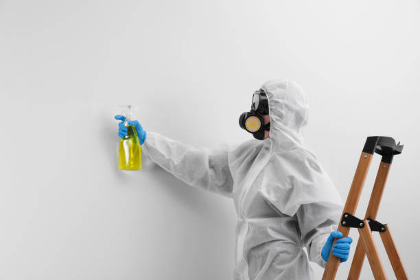 Best Residential Mold Inspection & Testing  in Weddington, NC